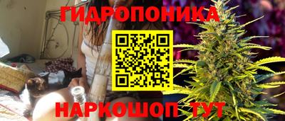 jwh Канаш